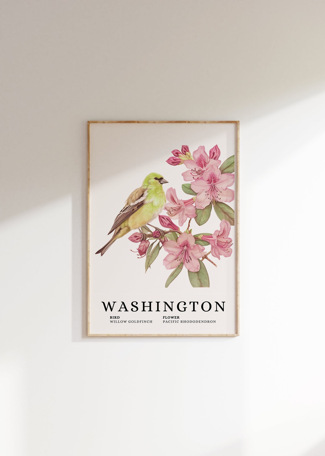 Washington Willow Goldfinch Pacific Rhododendron Bird Flower Print