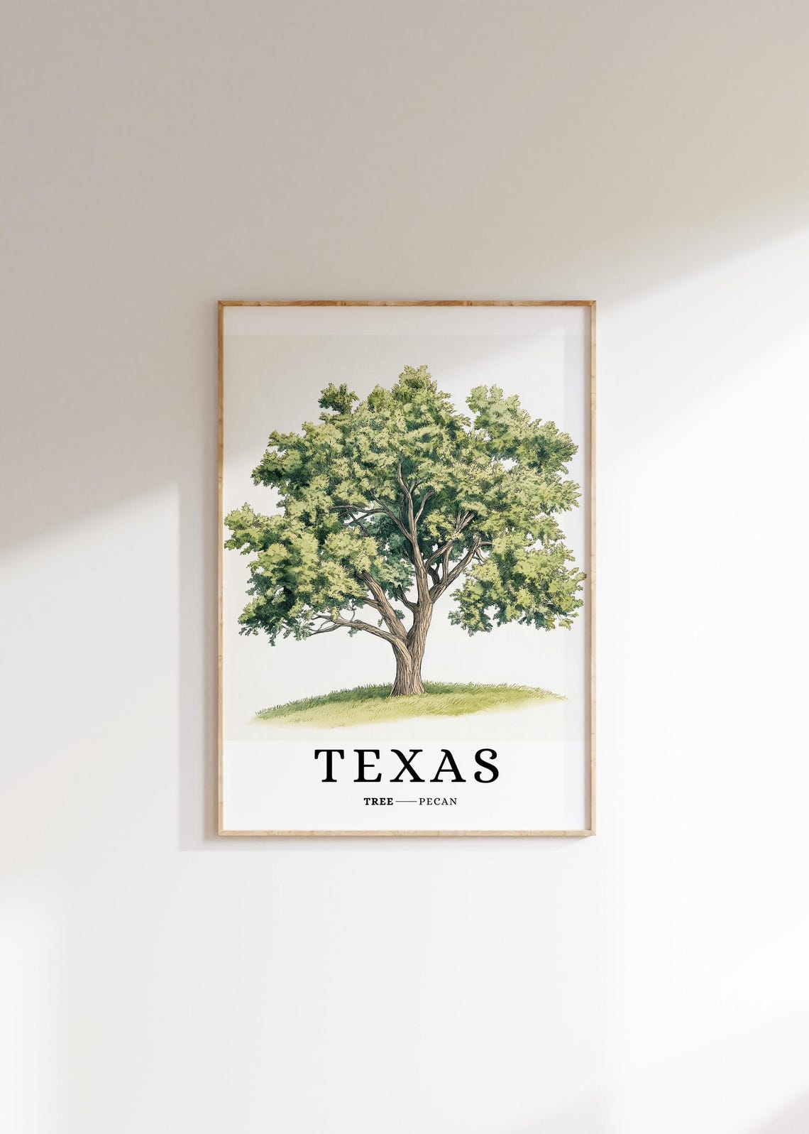 Texas Pecan Tree Botanical Minimalist Southern State Symbol Poster