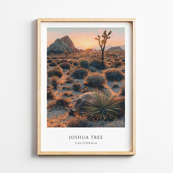 Joshua Tree California Desert Sunset Poster Tortoise Yucca Rock Scene