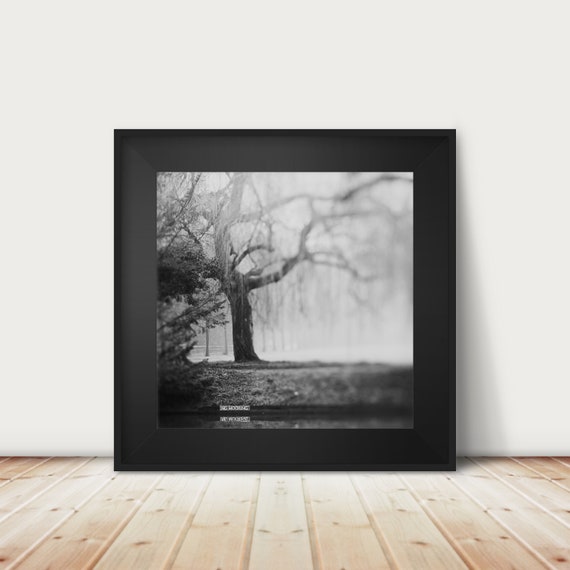 Cambridge Winter Fog Print River Cam Black And White Photography