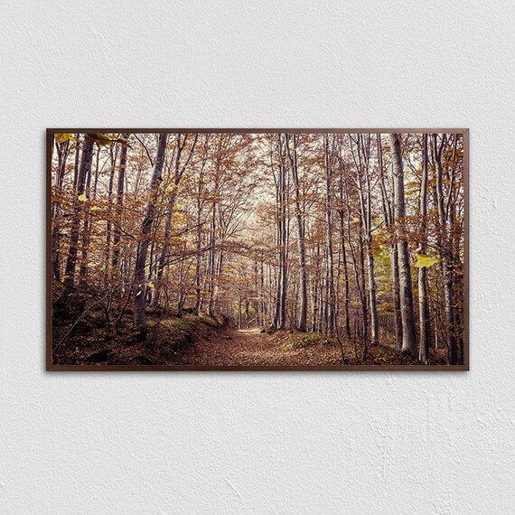 Frame Tv Moody Autumn Landscape Art Autumn Forest Art Art Instant Art For Frame Tv