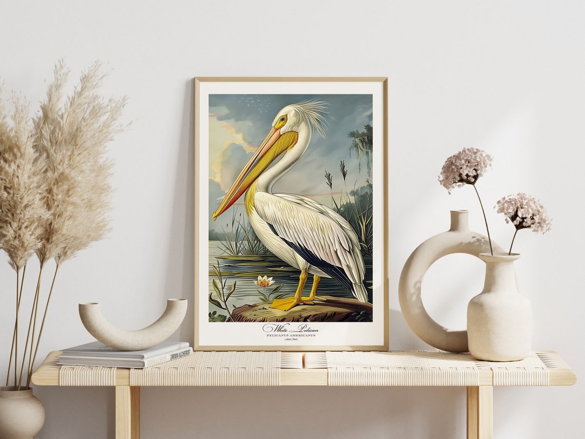 White Pelican Audubon Style Vintage Bird Art Gallery Wall Poster - Image 3