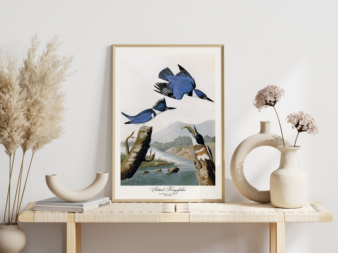Belted Kingfisher Audubon Style Vintage River Bird Trio Nature Poster - Image 7