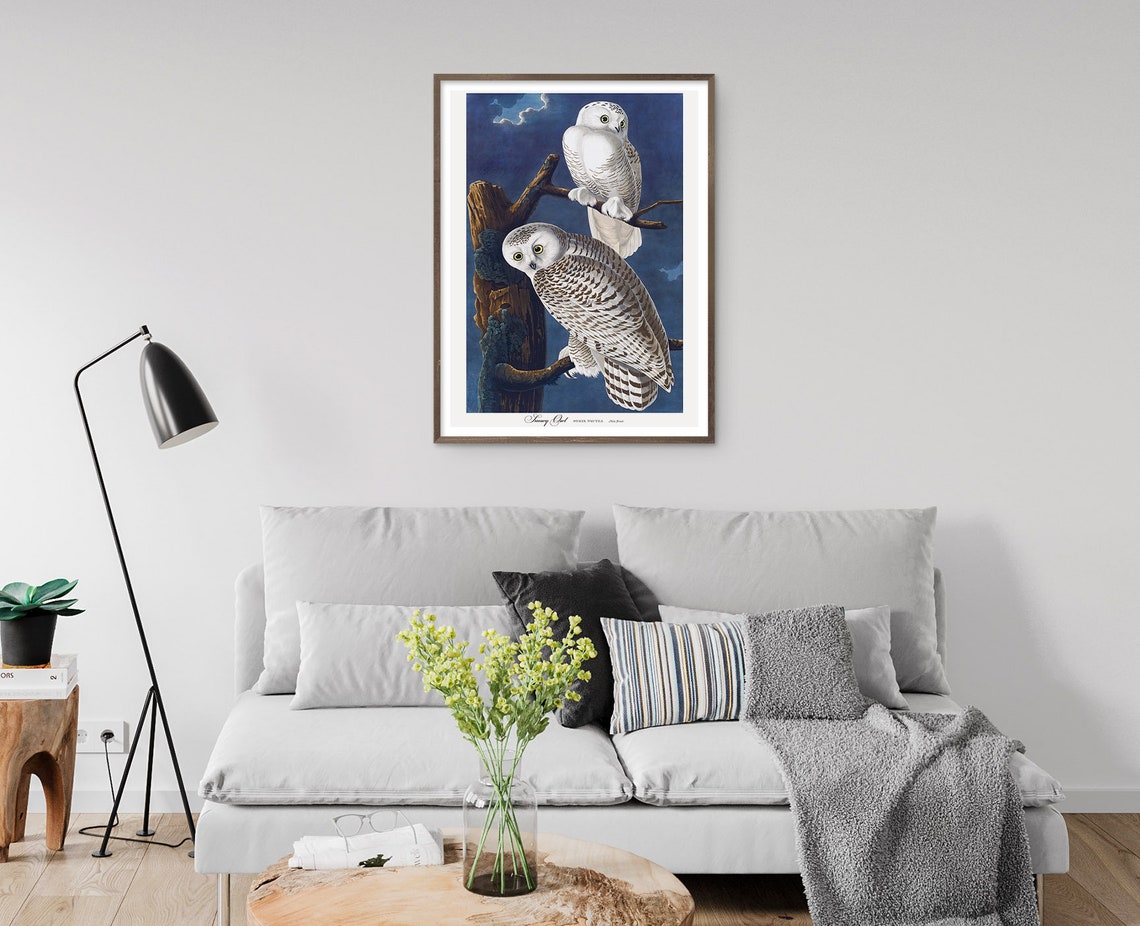 Classic Audubon Long Eared Owl Vintage Bird Illustration Print - Image 2