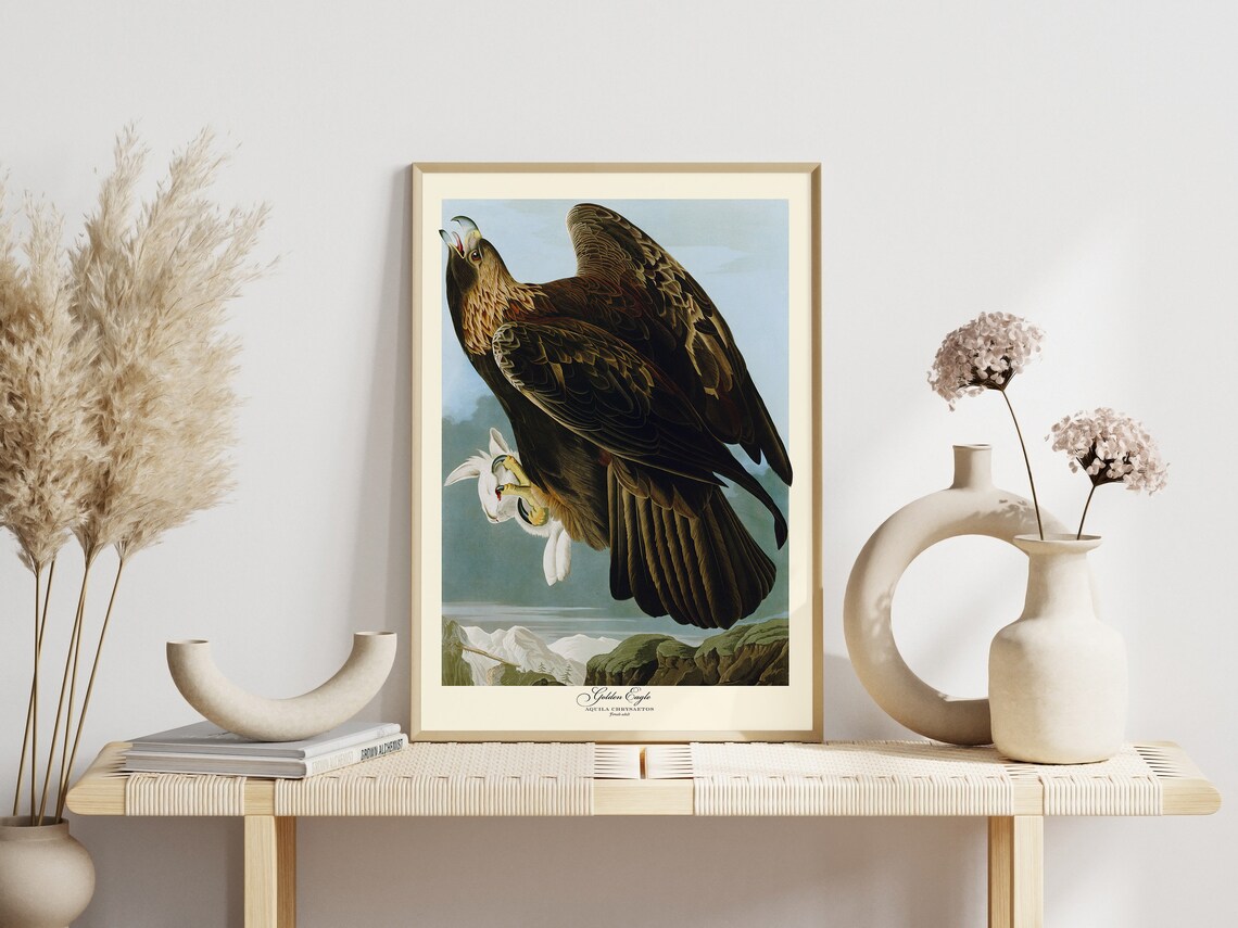 White Falcon Pair Bird of Prey Vintage Natural History Poster - Image 2