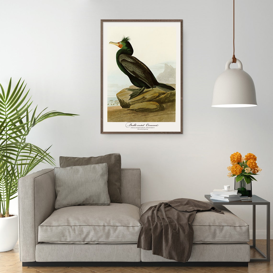 Double Crested Cormorant Audubon Style Vintage Seabird Nature Poster - Image 2