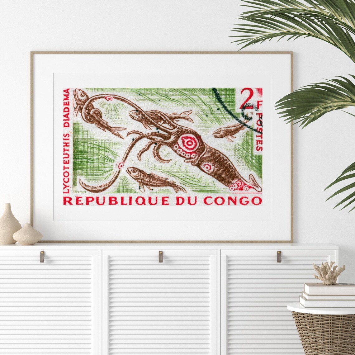 Republic of Congo 2F Lycoteuthis Diadema Squid Stamp Art Poster - Image 2