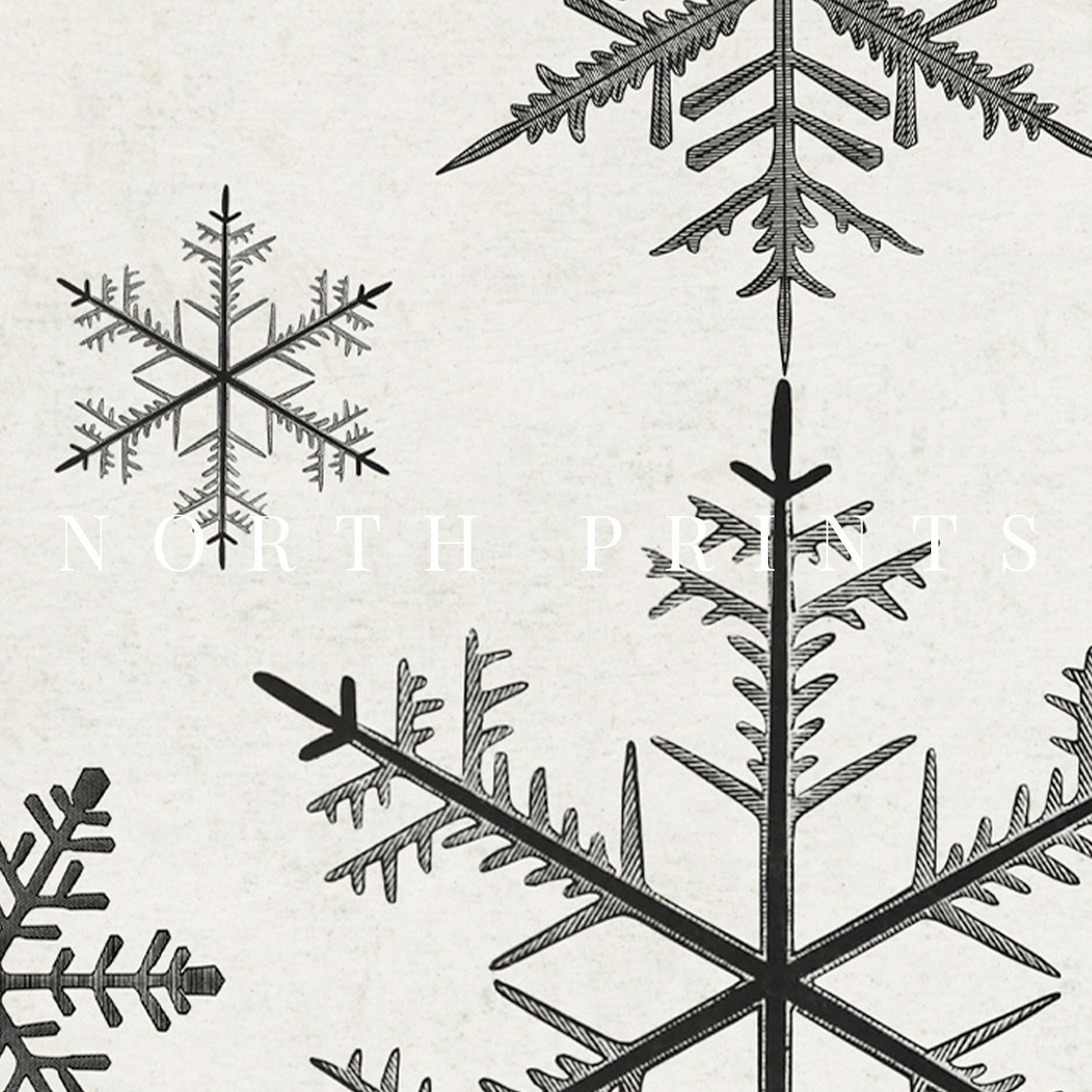Vintage Snowflake Collection Black Ink Nordic Christmas Art Print - Image 2