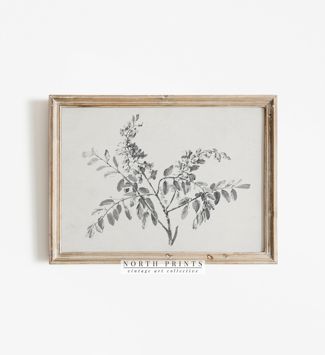 Vintage Branch Sketch Neutral Botanical Art Print - Image 2