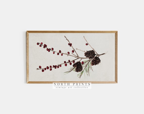 Winterberry Branches Pinecones Botanical Christmas Vintage Art Print