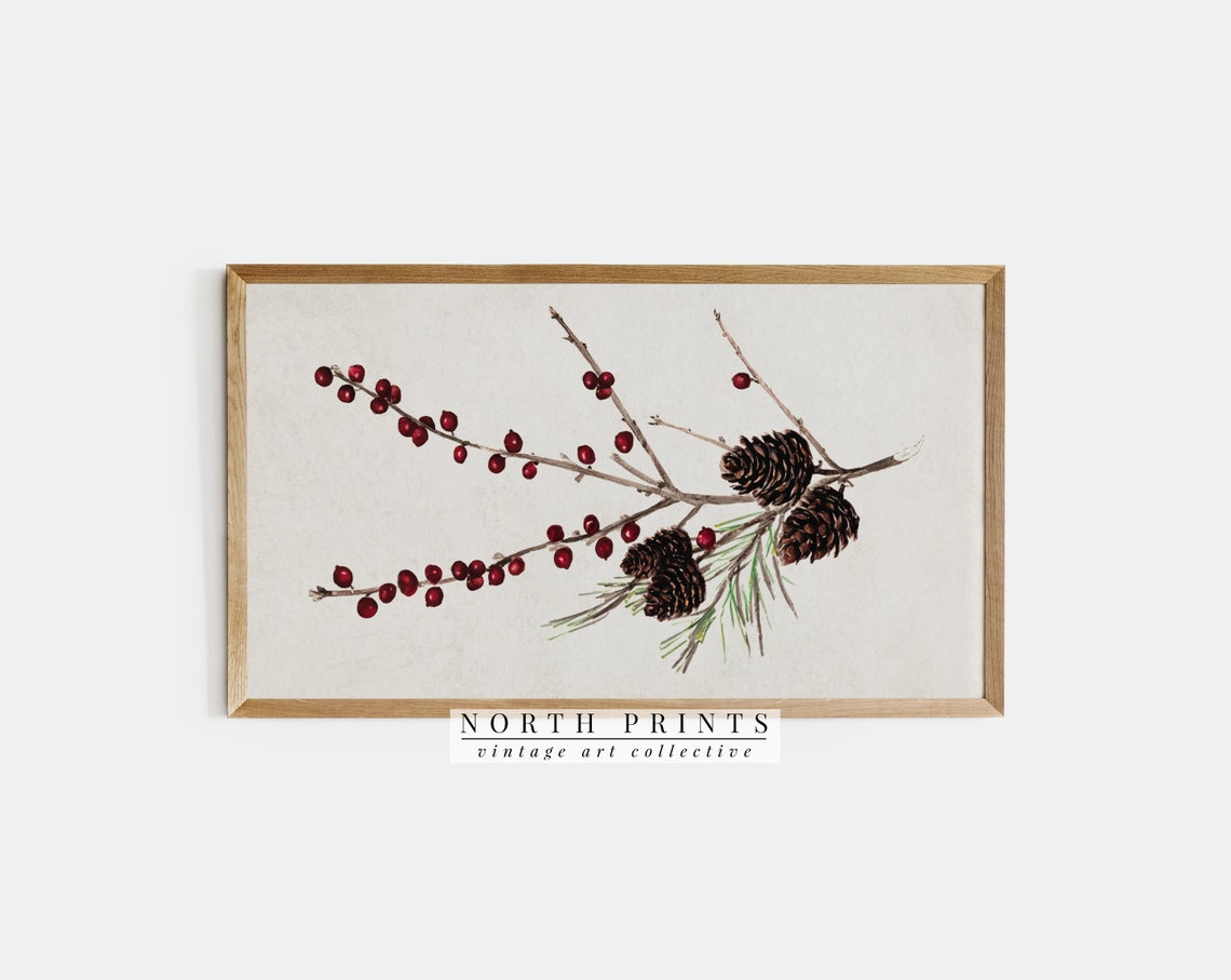 Winterberry Branches Pinecones Botanical Christmas Vintage Art Print