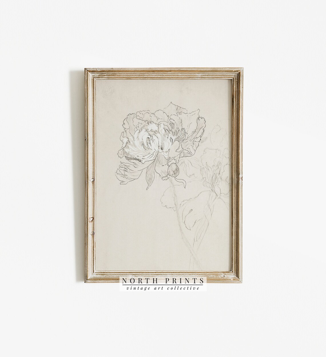 Flower Sketch Vintage Botanical Line Drawing Art Print - Image 4