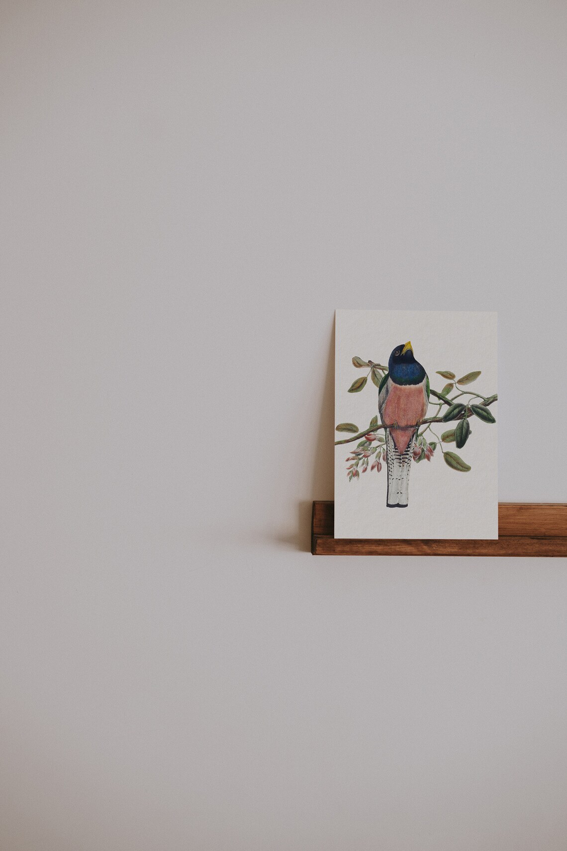Vintage Bird Nursery Art, Country Farmhouse Print - Image 3