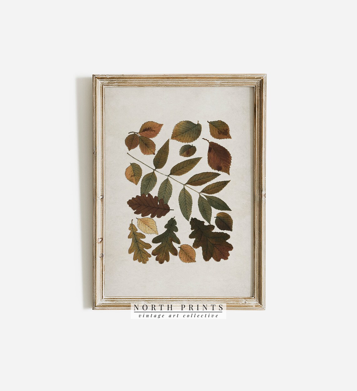 Antique Autumn Botanical Leaf Art Print, Fall Decor - Image 2