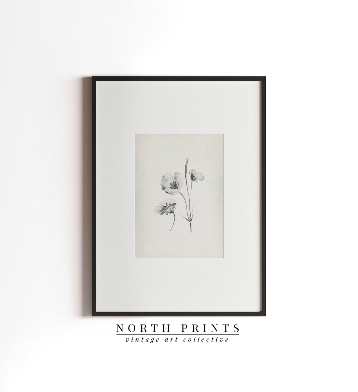 Minimalist Black White Flower Sketch Botanical Line Drawing Print - Image 3