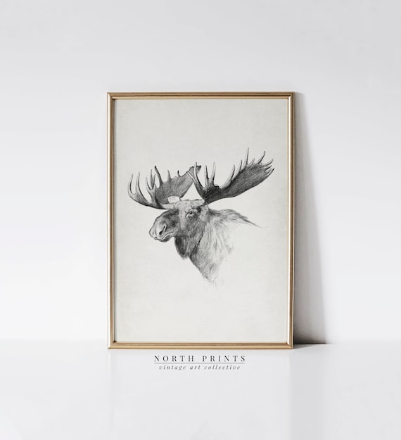 Moose Rustic Sketch Art Print, Cabin Decor