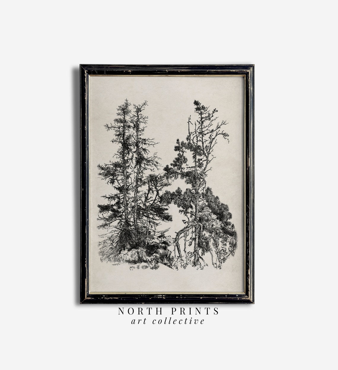Rustic Pine Tree Ink Sketch Vintage Forest Etching Neutral Art Print - Image 2