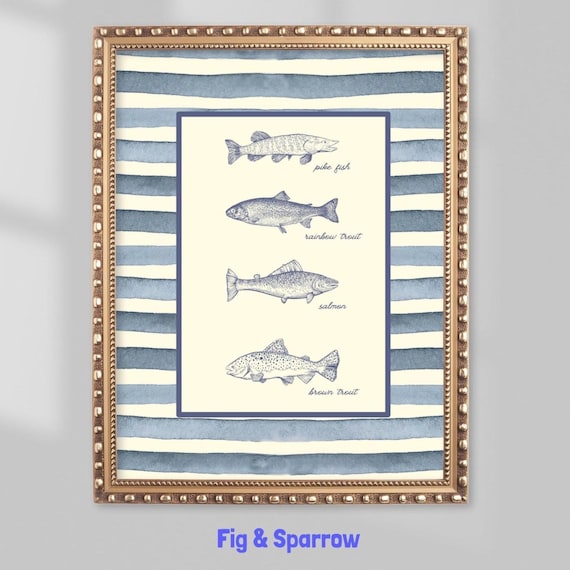 Pike Rainbow Trout Salmon Brown Trout Fish Species Chart Art Poster