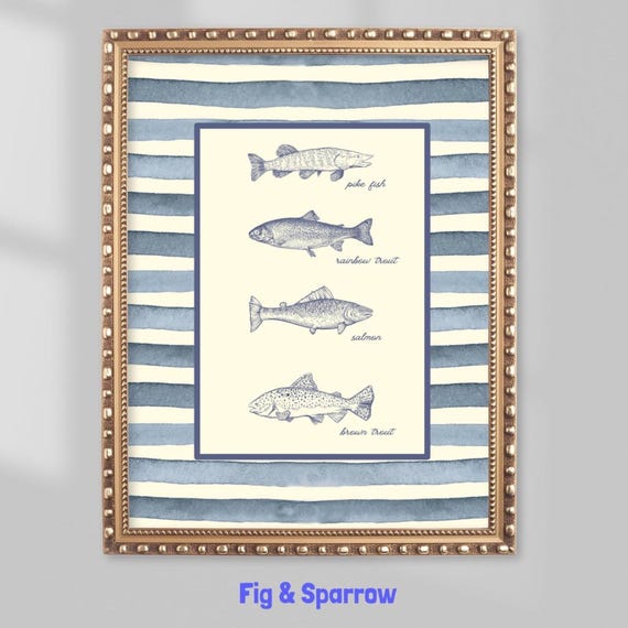 Vintage Fish Illustration Art Print Pike Trout Salmon Chart