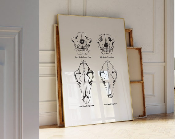 German Shepherd Print K9 Wall Art German Shepherd Decor Skull Wolf Poster German Shepherd Gift Wall Art Police K9 Handler