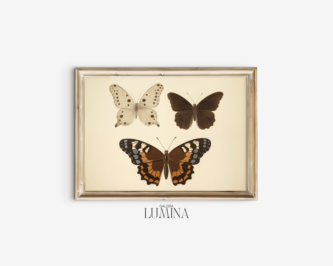 Vintage Butterflies Painting Neutral Butterfly Print Antique Butterfly Drawing Moody Insect Wall Art Art Frame Tv Art 277 - Image 2