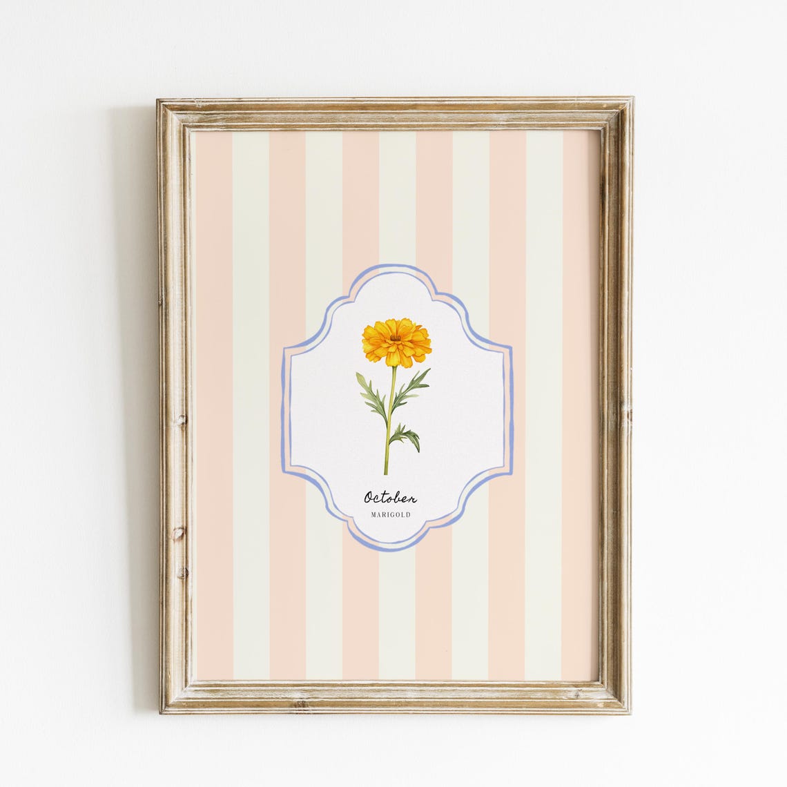 October Marigold Birth Flower Peach Striped Botanical Wall Art Print