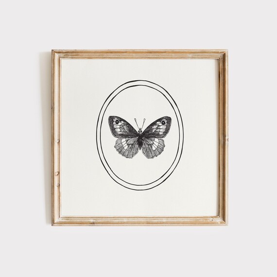 Vintage Engraved Black Butterfly in Oval Botanical Study Poster