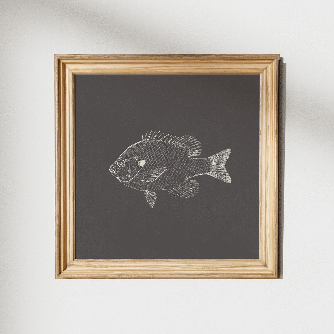 Charcoal Bluegill Fish Square Print Instant Wall Art Trendy Decor Illustration Nautical - Image 5
