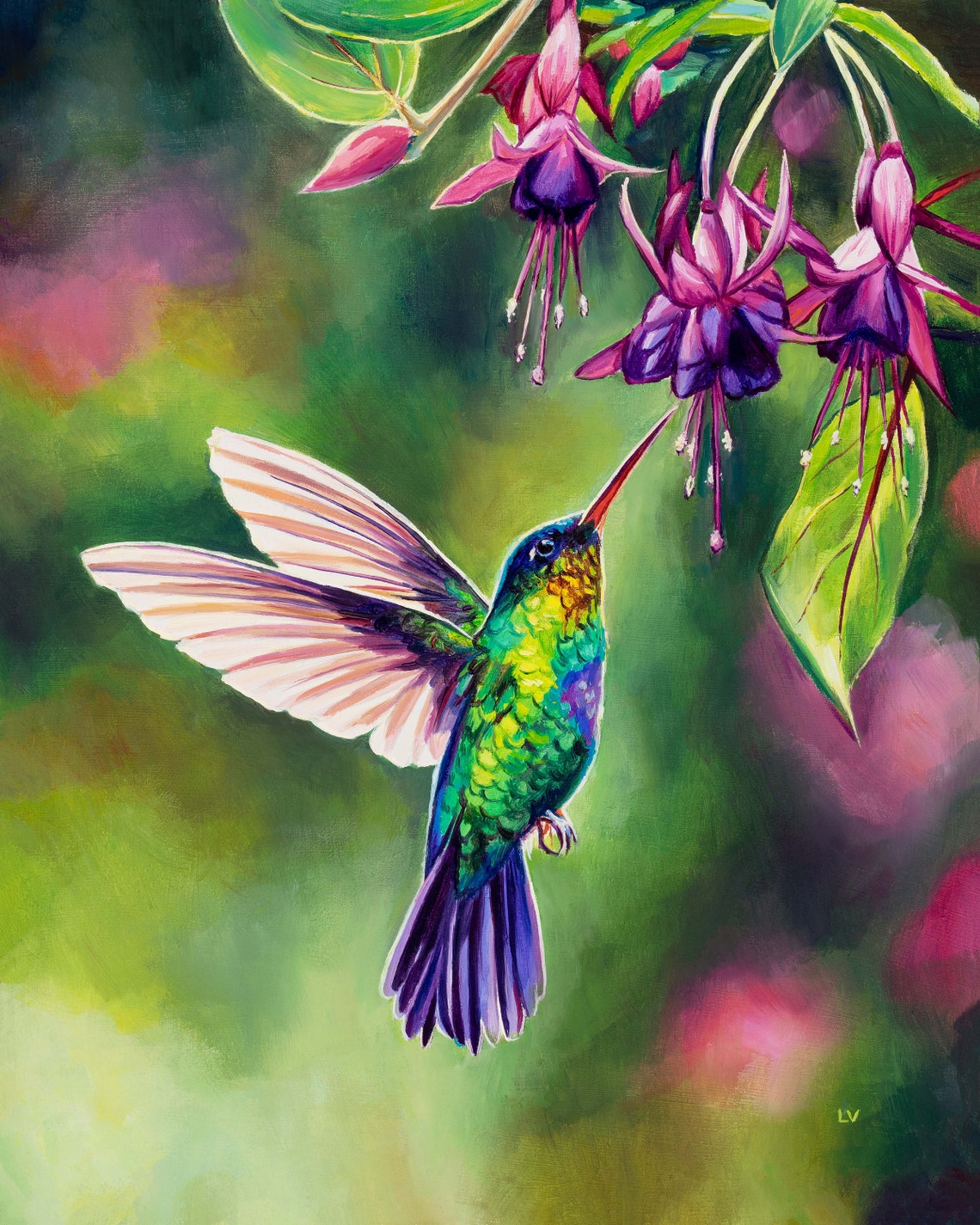 Flying Hummingbird Feeding On Fuchsia Flowers Framed Art Poster - Image 6