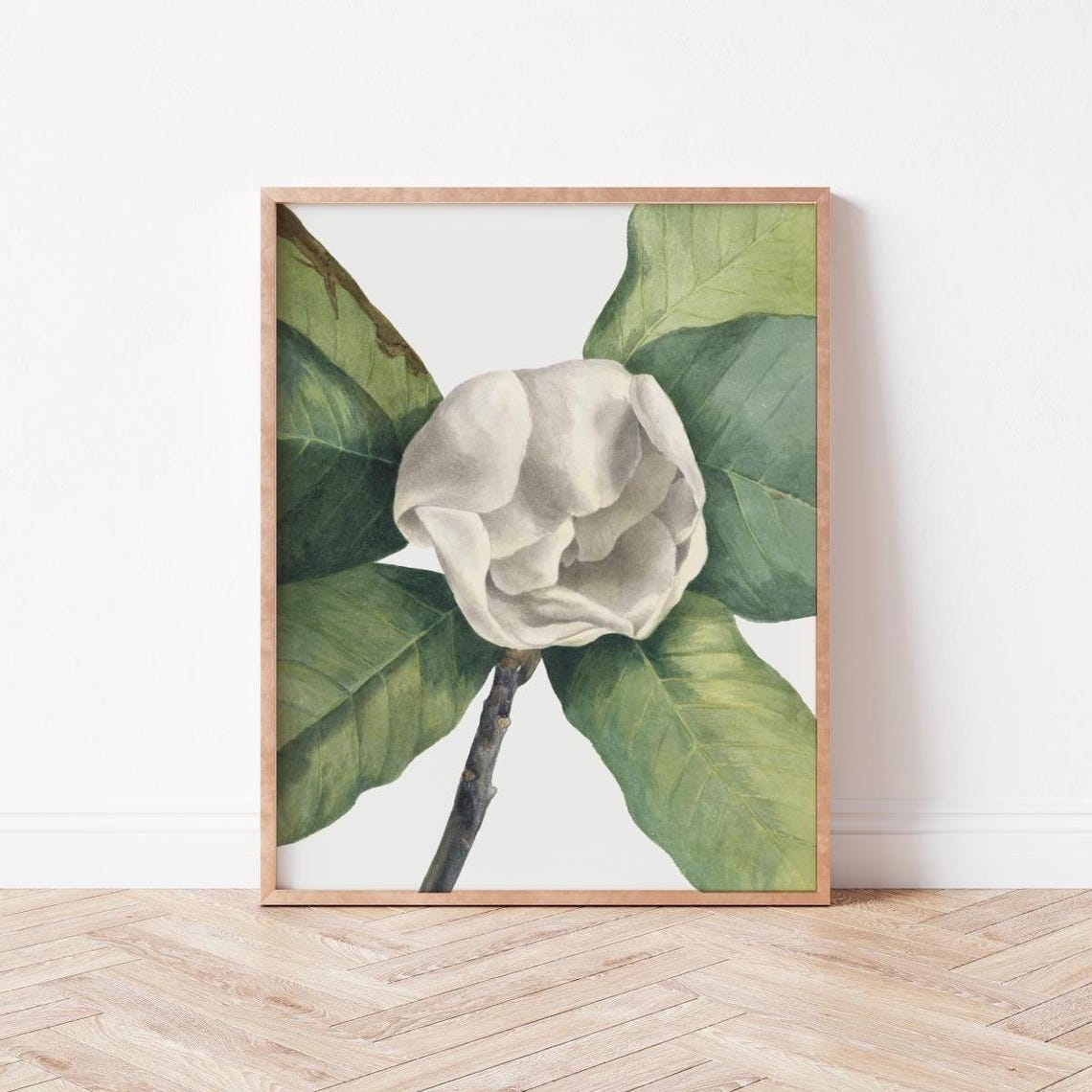 Vintage Botanical Art Print Wall Flower Prints Wild Violets Mw0004