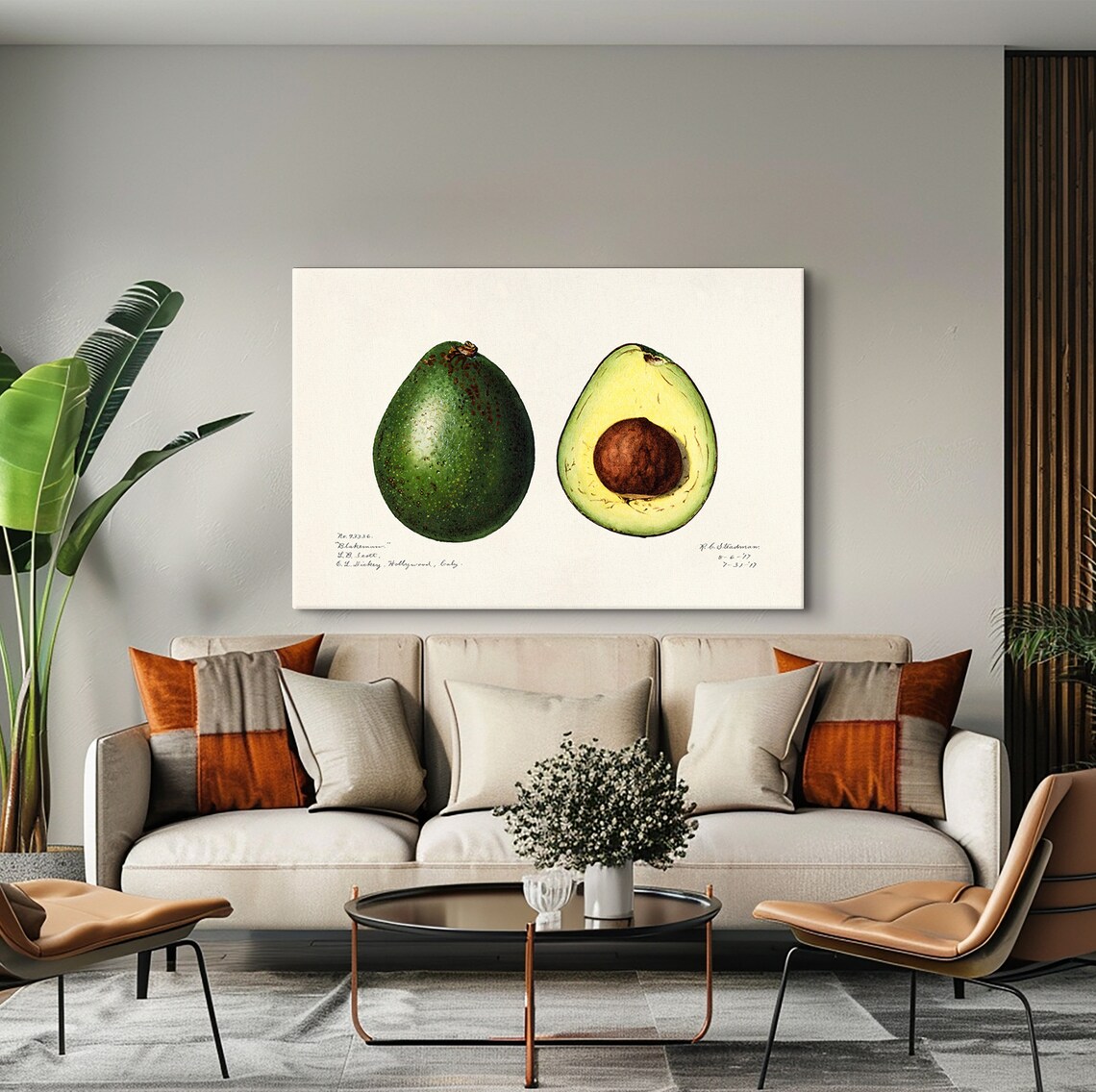 Charles Steadman Vintage Avocado Botanical Print - Image 3