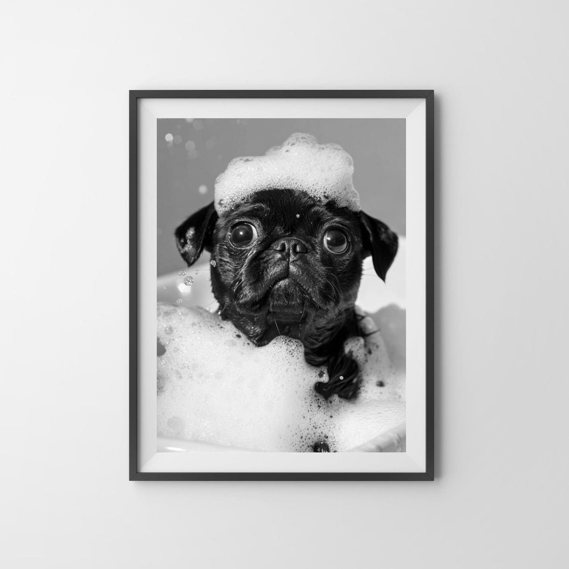 Black Pug in a Bubble Bath With a Foam Hat Black and White Poster - Image 3