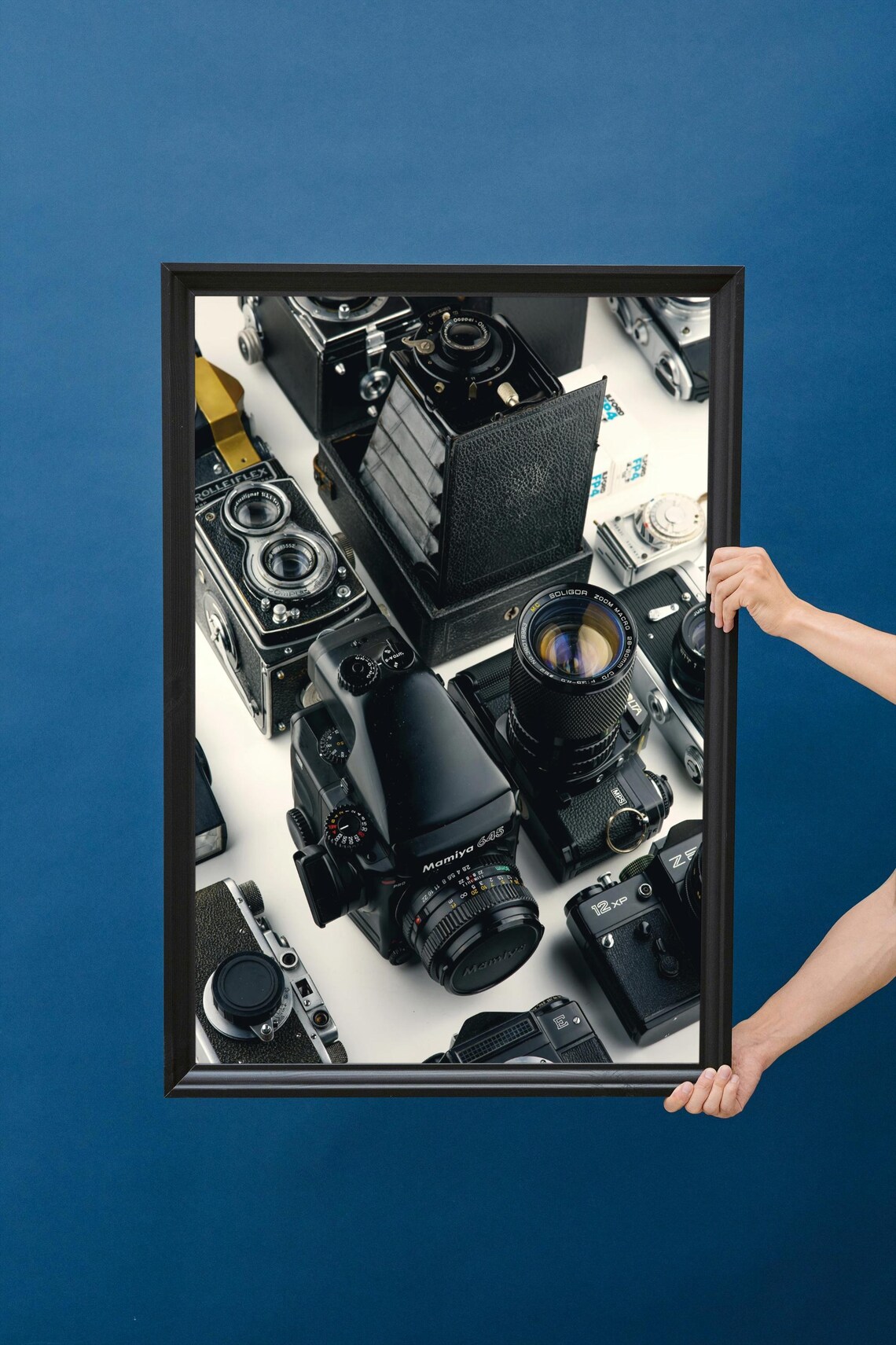 Vintage Camera Collection, Retro Photography Decor - Image 3