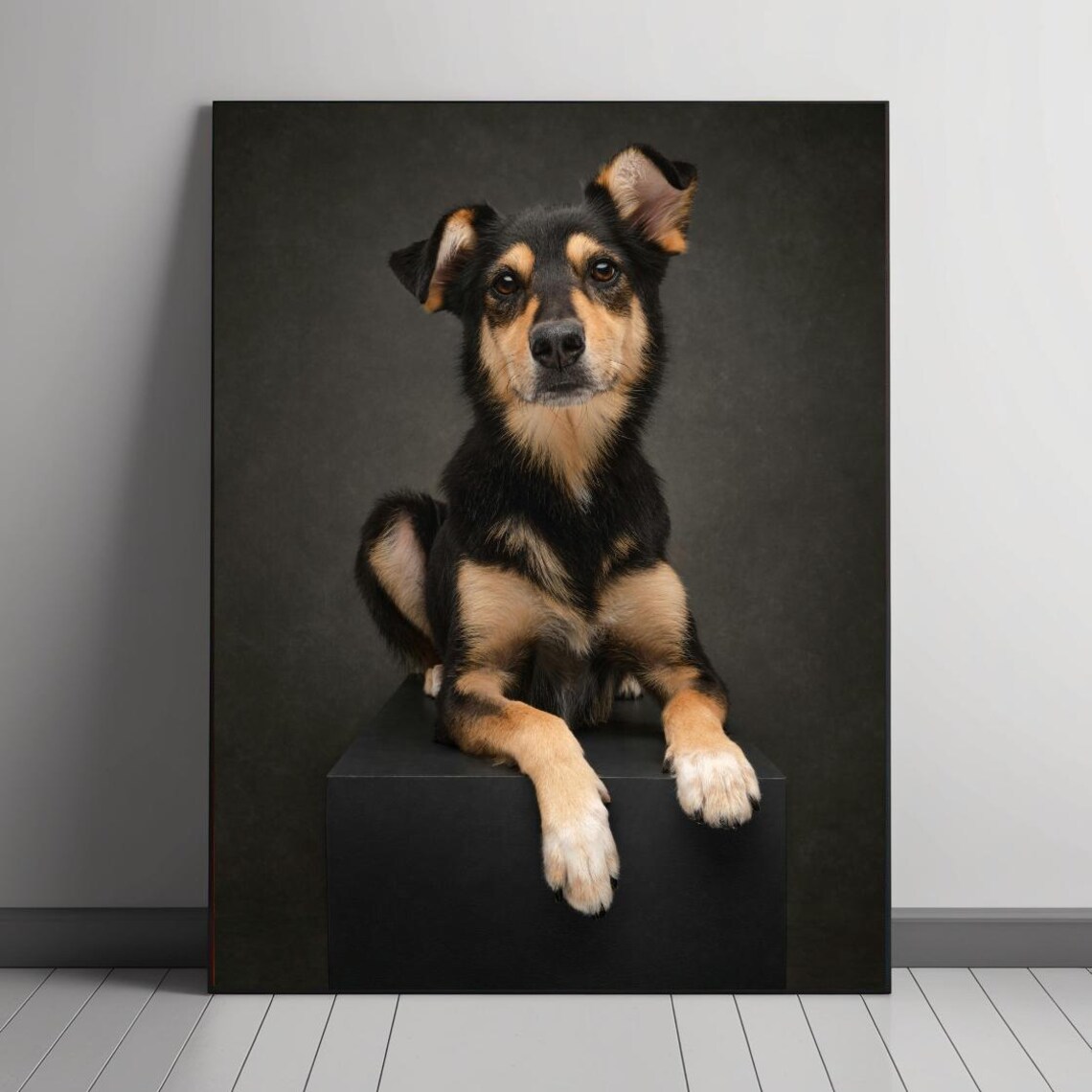 Majestic Dog Portrait, Elegant Black And Tan Photography