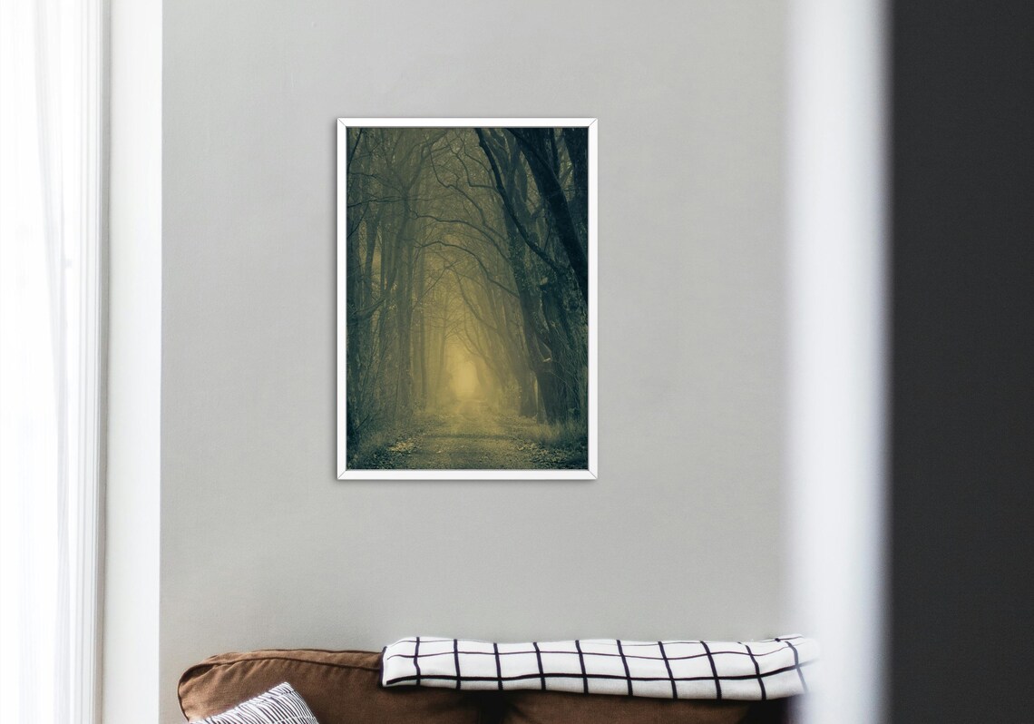 Enchanted Misty Forest, Mysterious Nature Pathway - Image 5