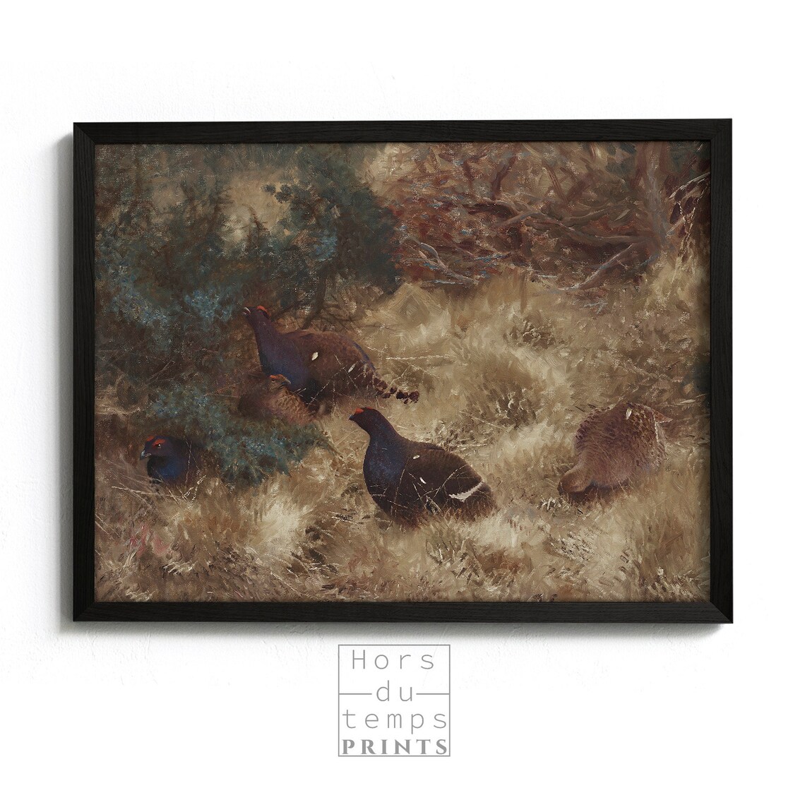 Black Grouse Autumn Heath Vintage Game Bird Oil Painting Poster - Image 2