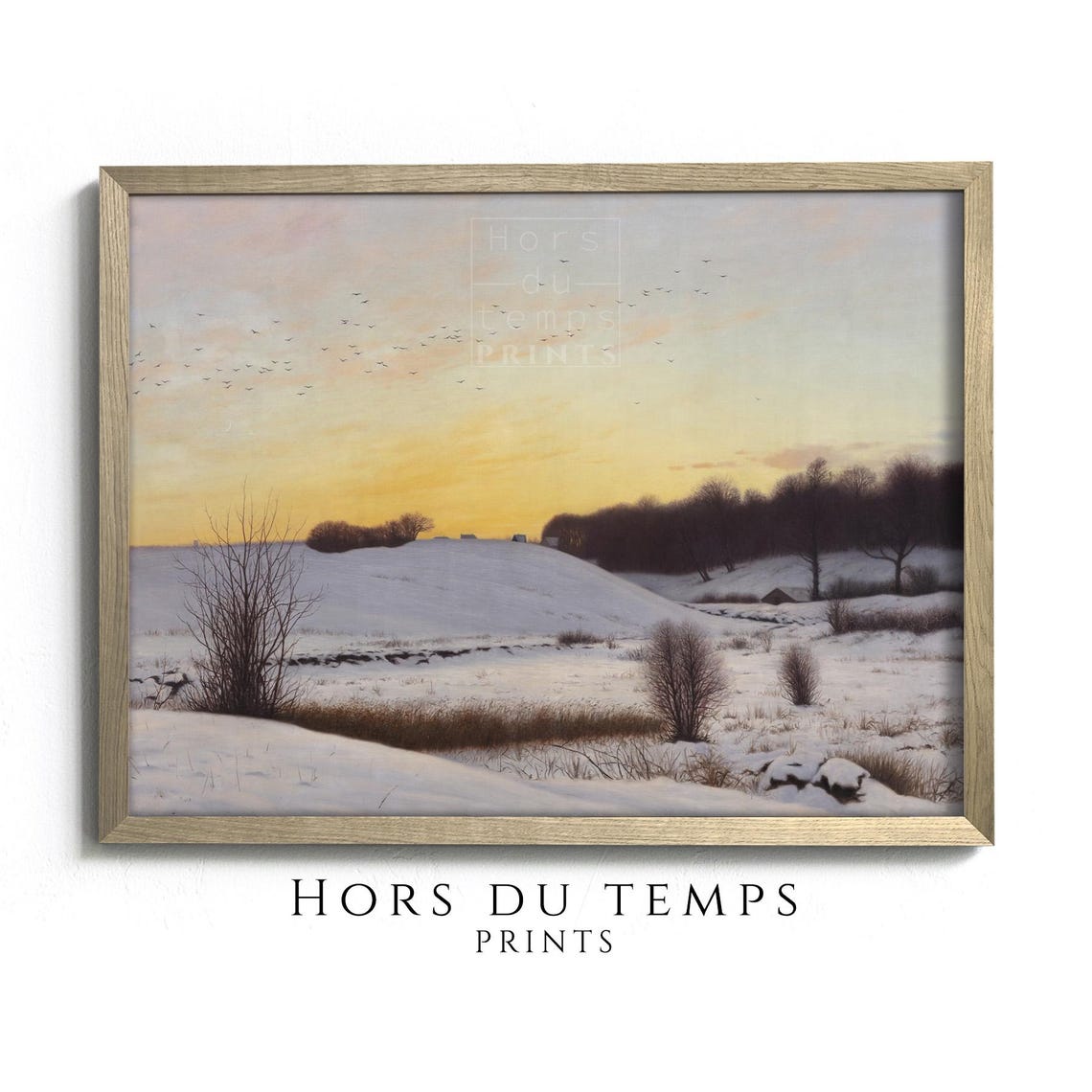 Golden Winter Sunset Over Snowy Fields with Flying Birds Poster