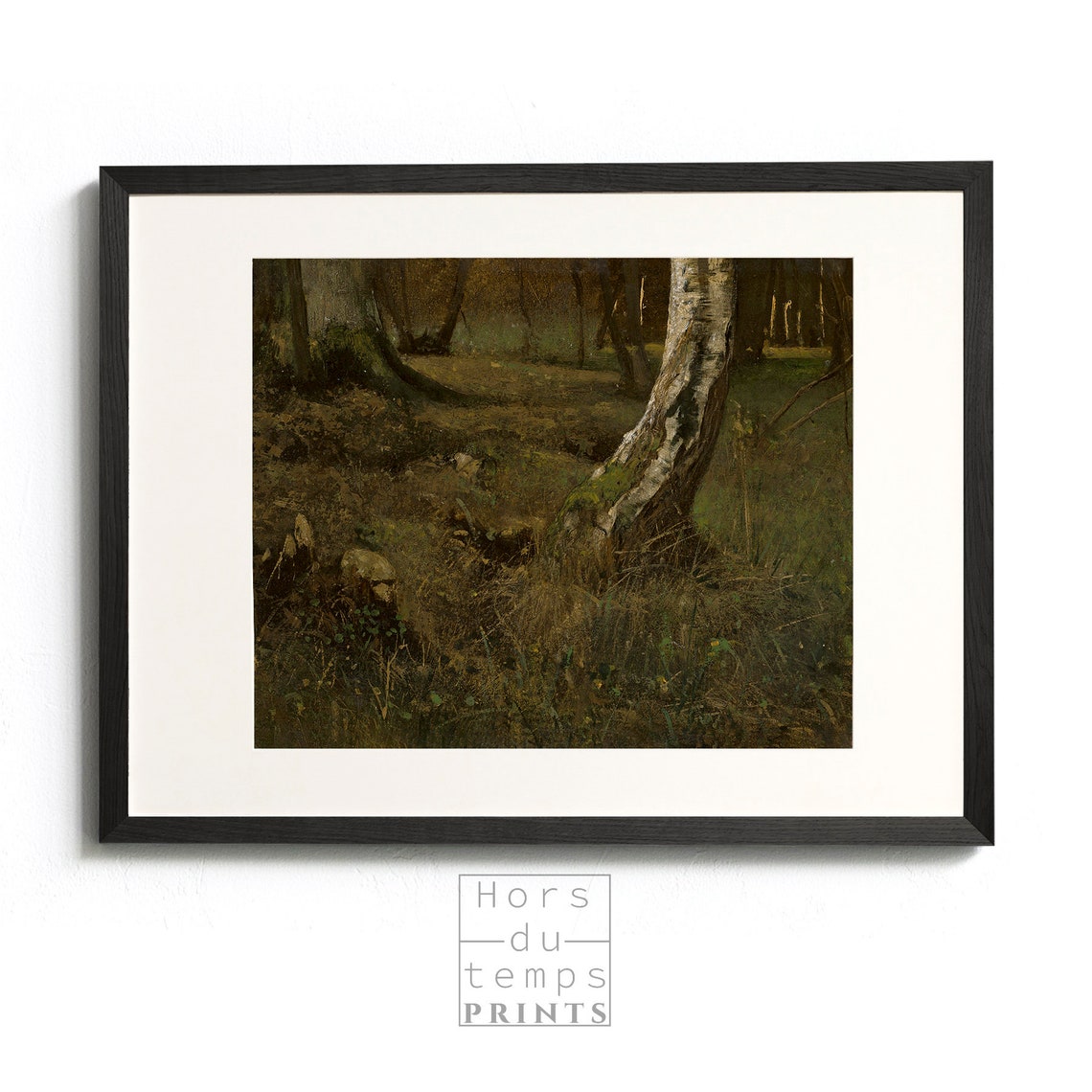 Birch Trunk Forest Floor Dappled Shadows Dark Woodland Art Poster - Image 2