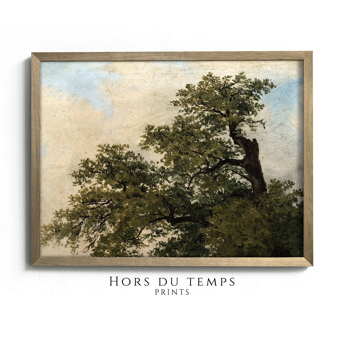 Gnarled Oak Tree Canopy Pale Sky Vintage Botanical Art Poster
