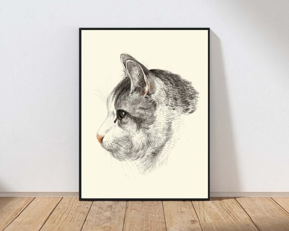 Vintage Cat Head Pencil Sketch Portrait Art Print for Cat Lovers