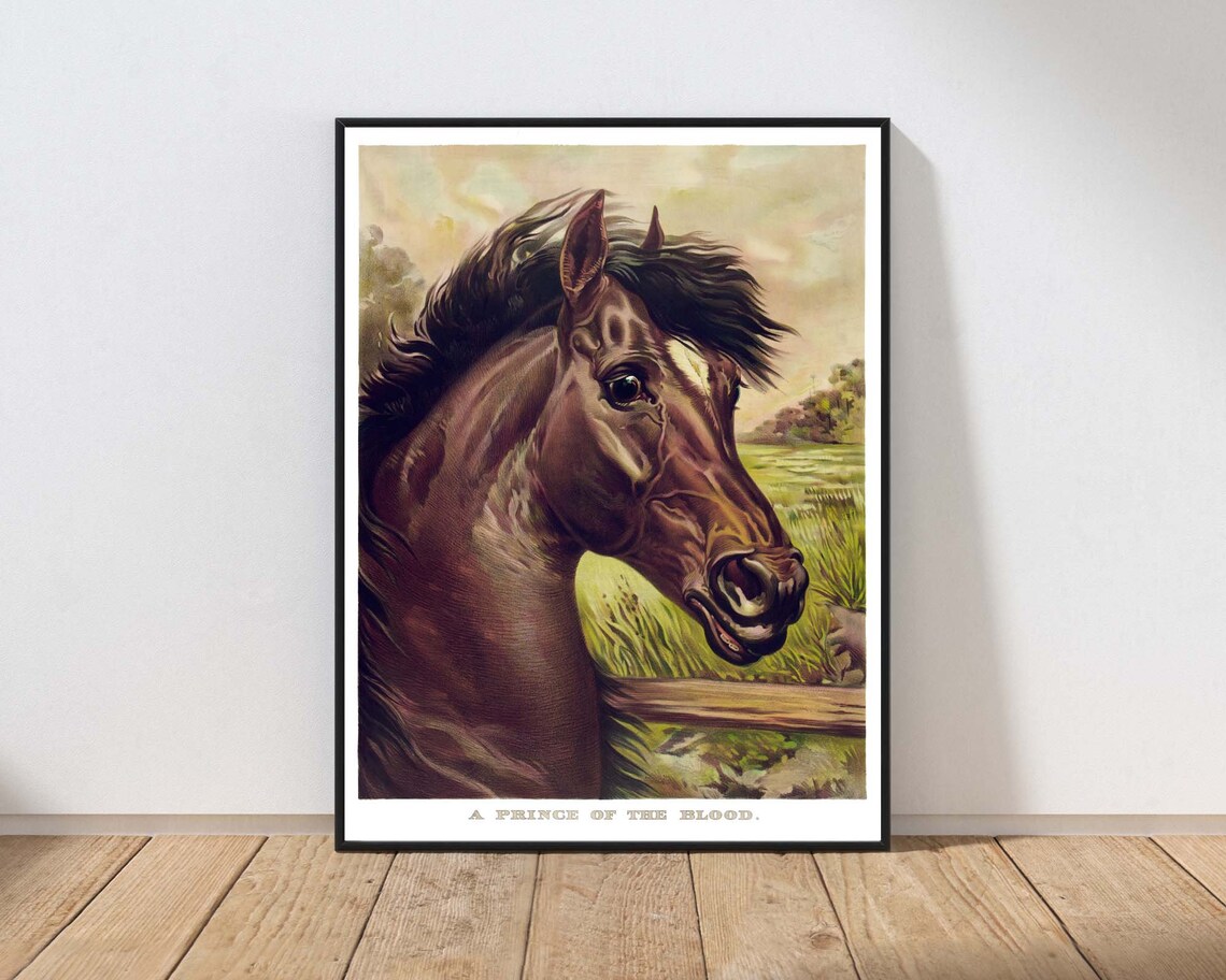 Vintage Horse Head Portrait Print A Prince of the Blood Equestrian Art