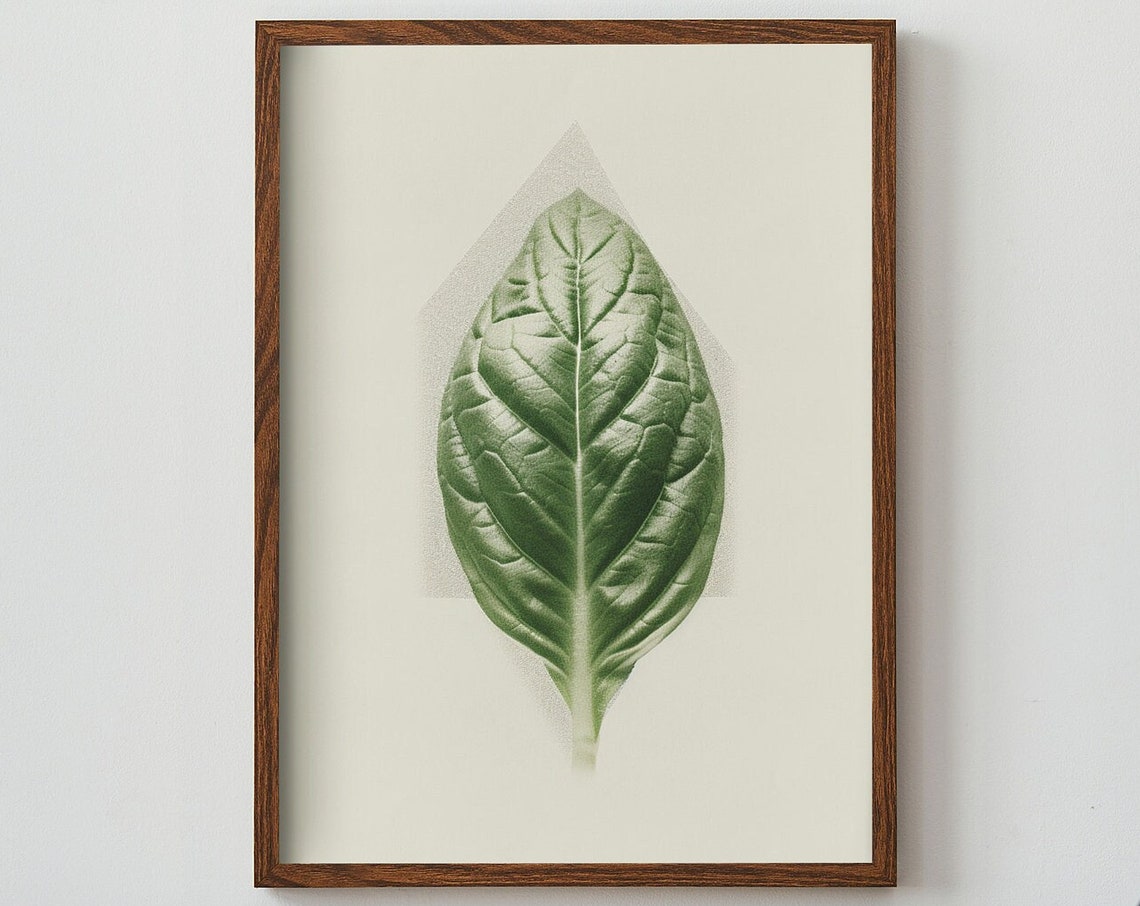 Single Green Basil Leaf Minimalist Botanical Herb Kitchen Poster
