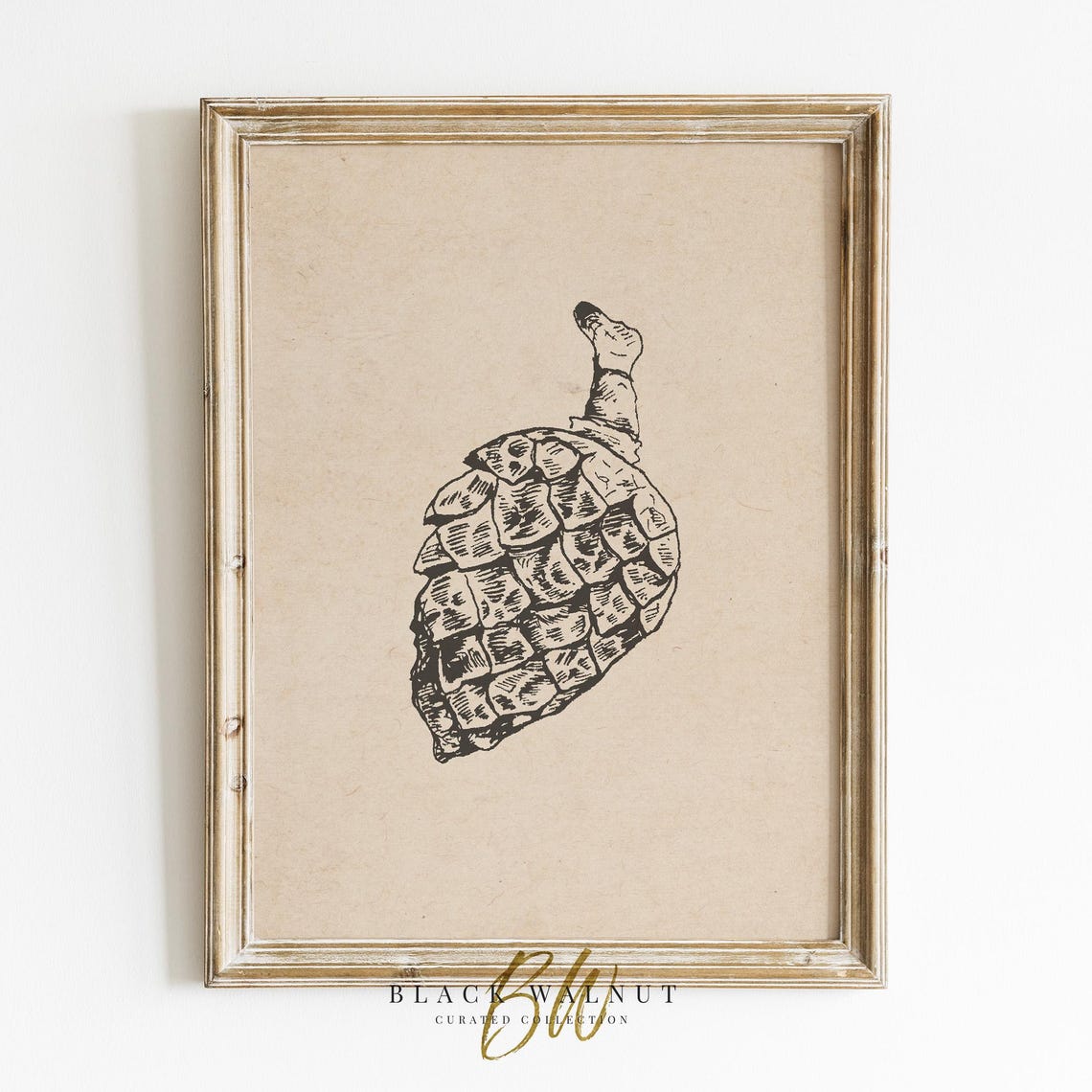 Pinecone Ink Sketch Beige Vintage Botanical Line Drawing Wall Poster