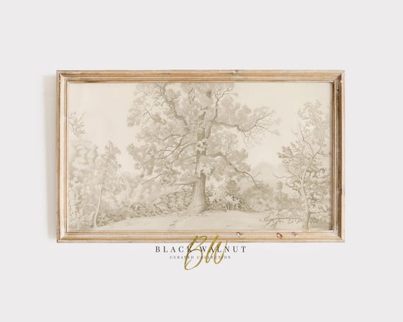 Frame Tv Tree Sketch Art Tree Pencil Drawing For Frame Tv Neutral Aesthetic Tv Screensaver Instant Vintage Style Sketch