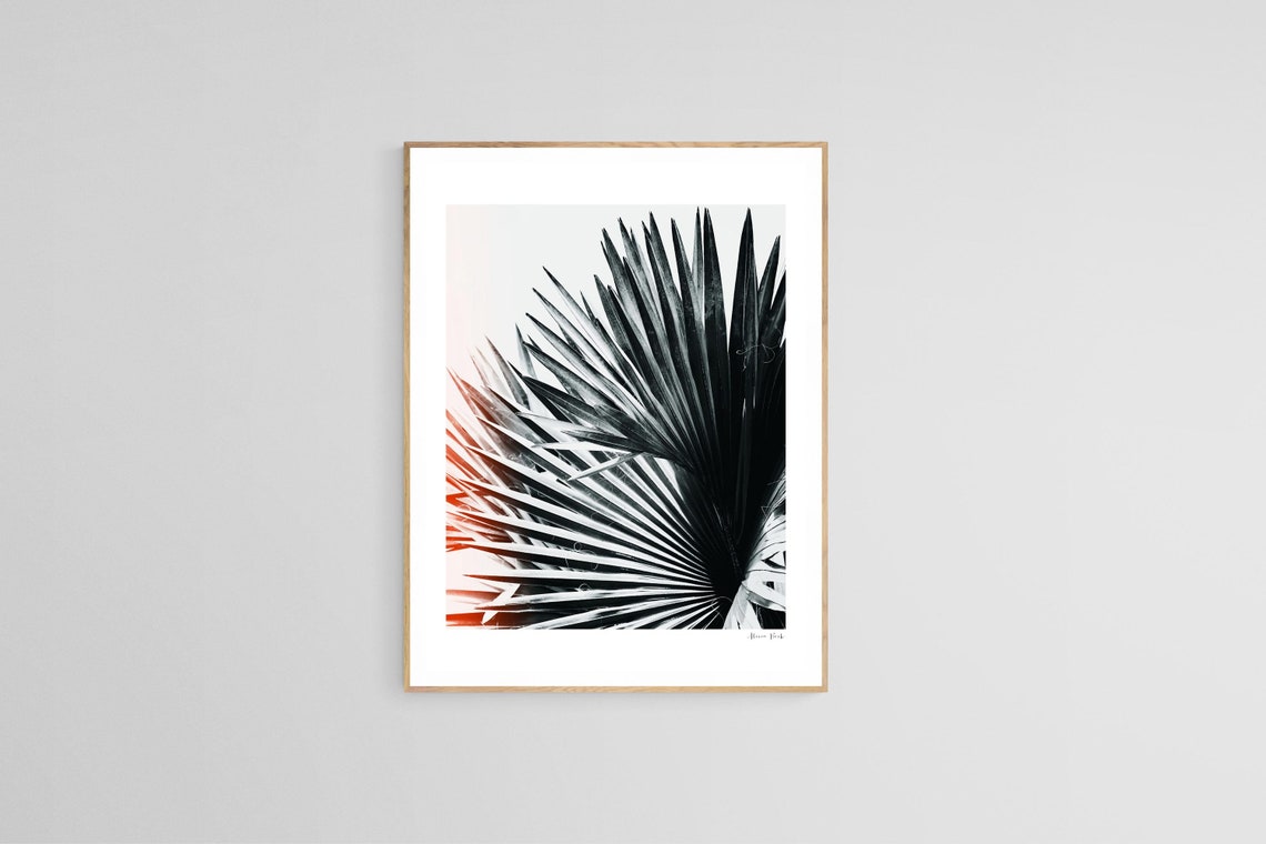 Palm Tree Black And White Photograph, Tropical Art