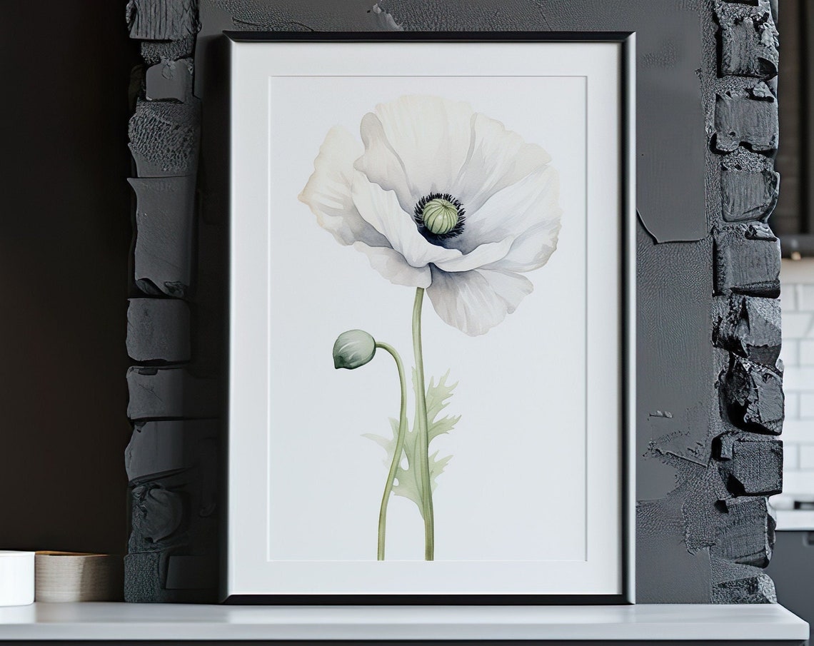White Poppy And Bud Soft Watercolor Botanical Elegant Flower Poster