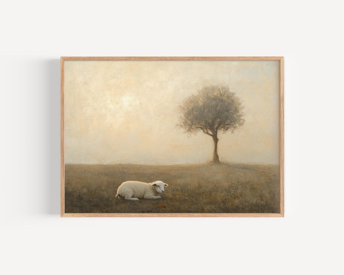 Lamb Resting In A Golden Field At Sunrise Oil Painting Poster