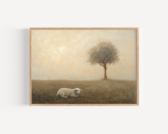 Lamb Resting In A Golden Field At Sunrise Oil Painting Poster