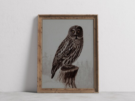 Moody Grey Owl Perched on Stump in Misty Watercolor Wildlife Poster