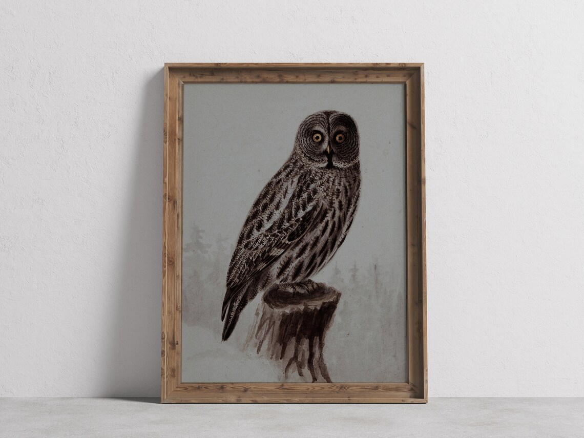 Moody Grey Owl Perched on Stump in Misty Watercolor Wildlife Poster
